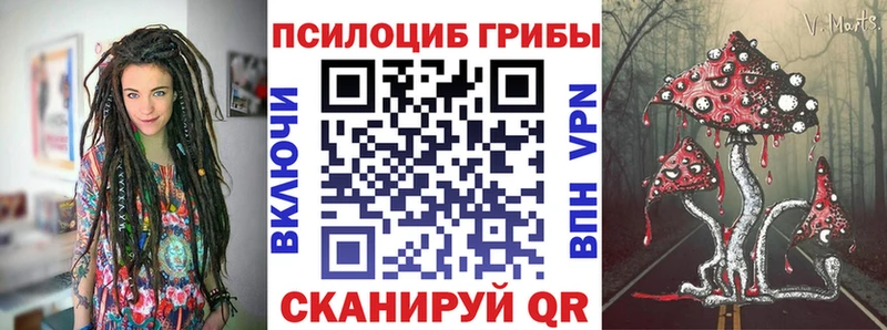 Псилоцибиновые грибы MAGIC MUSHROOMS как найти Воскресенск